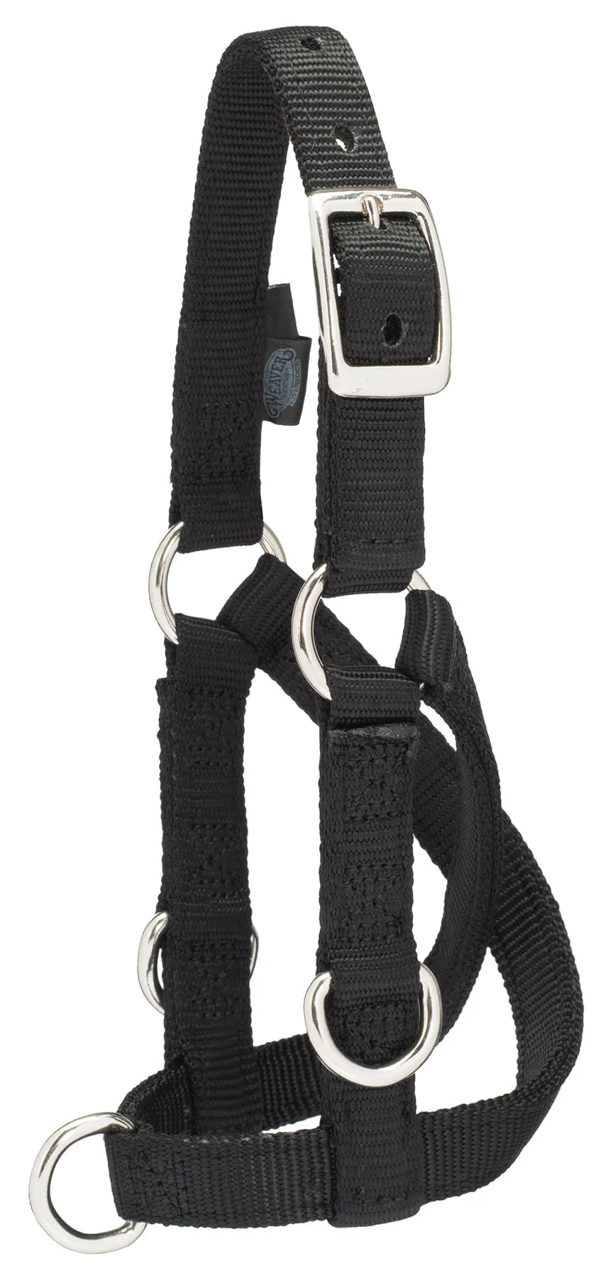 Sheep/Goat Treadmill Halter - Healthber