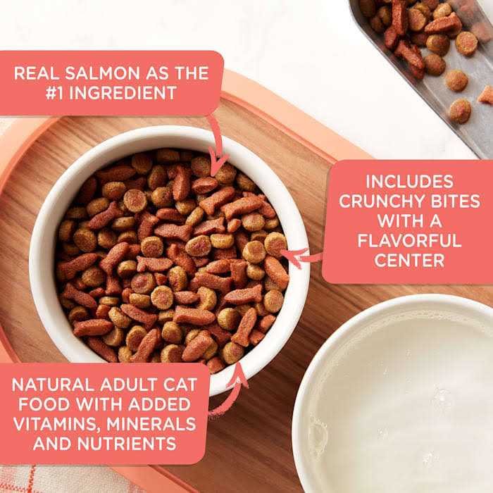 Rachael Ray Nutrish Savory Bites Dry Cat Food - Healthber