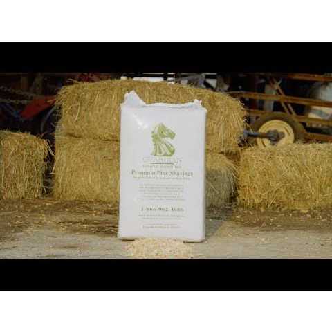 Equustock LLC GHB LF45 Medium Flake Pine Shaving - Healthber