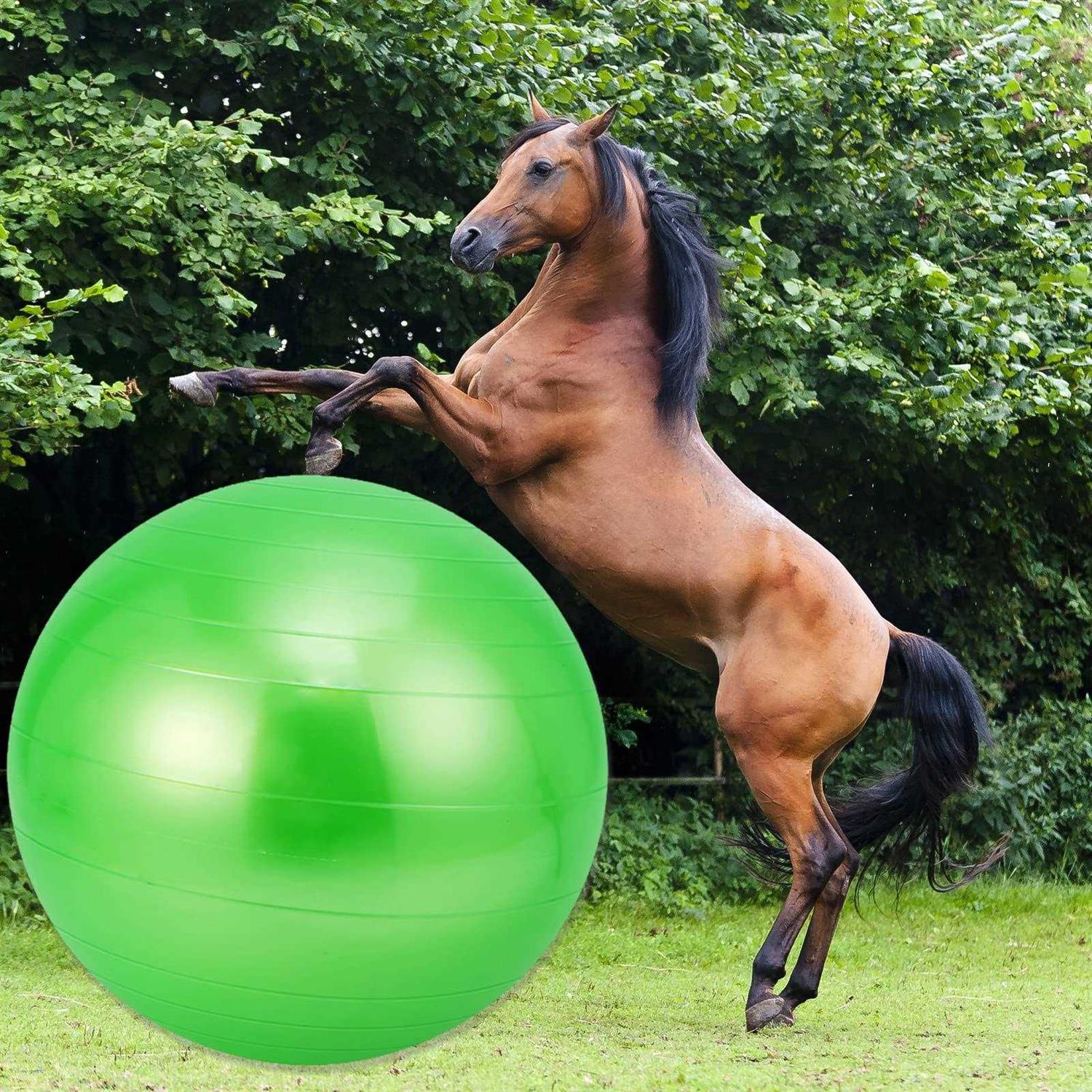 capuca Large Horse Balls for Play 30 Inch Anti-Burst Mega Herding Ball Giant Horse for Dogs Goats Horses to Play with Pump - Healthber