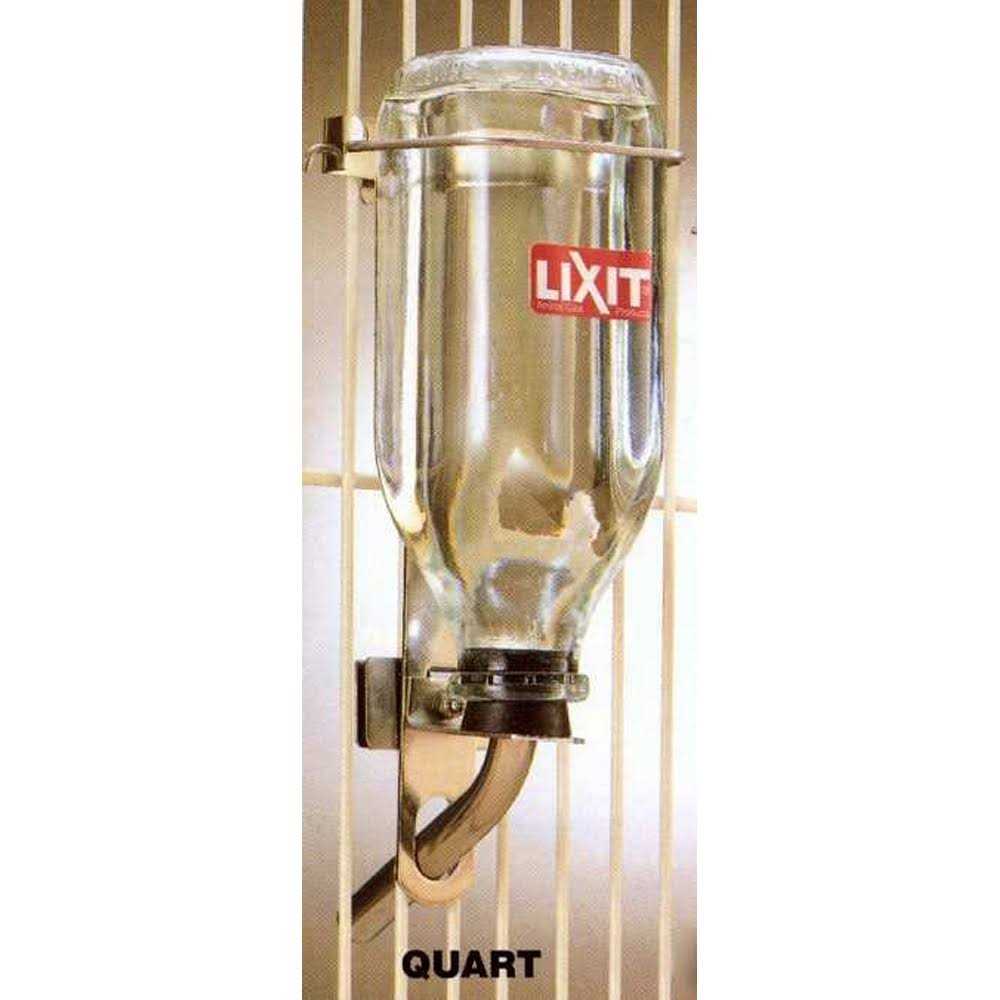 Lixit Glass Water Bottle - Healthber