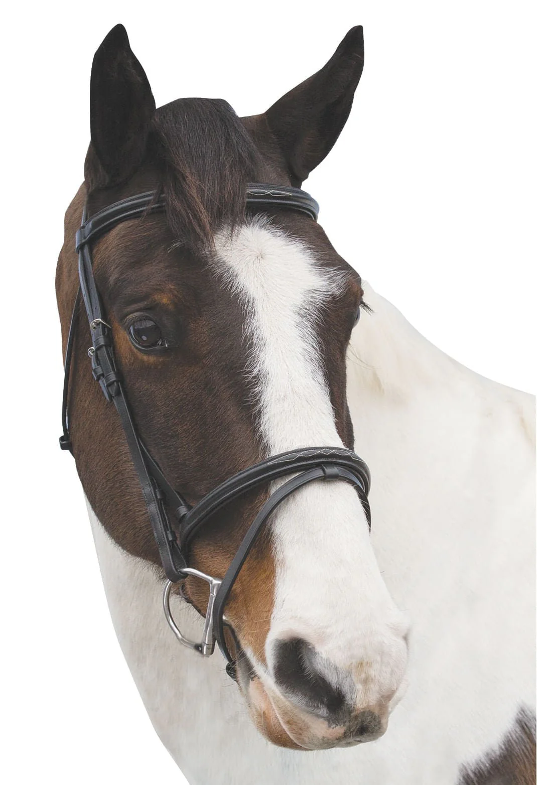 Loveson Elegance Bridle - Healthber