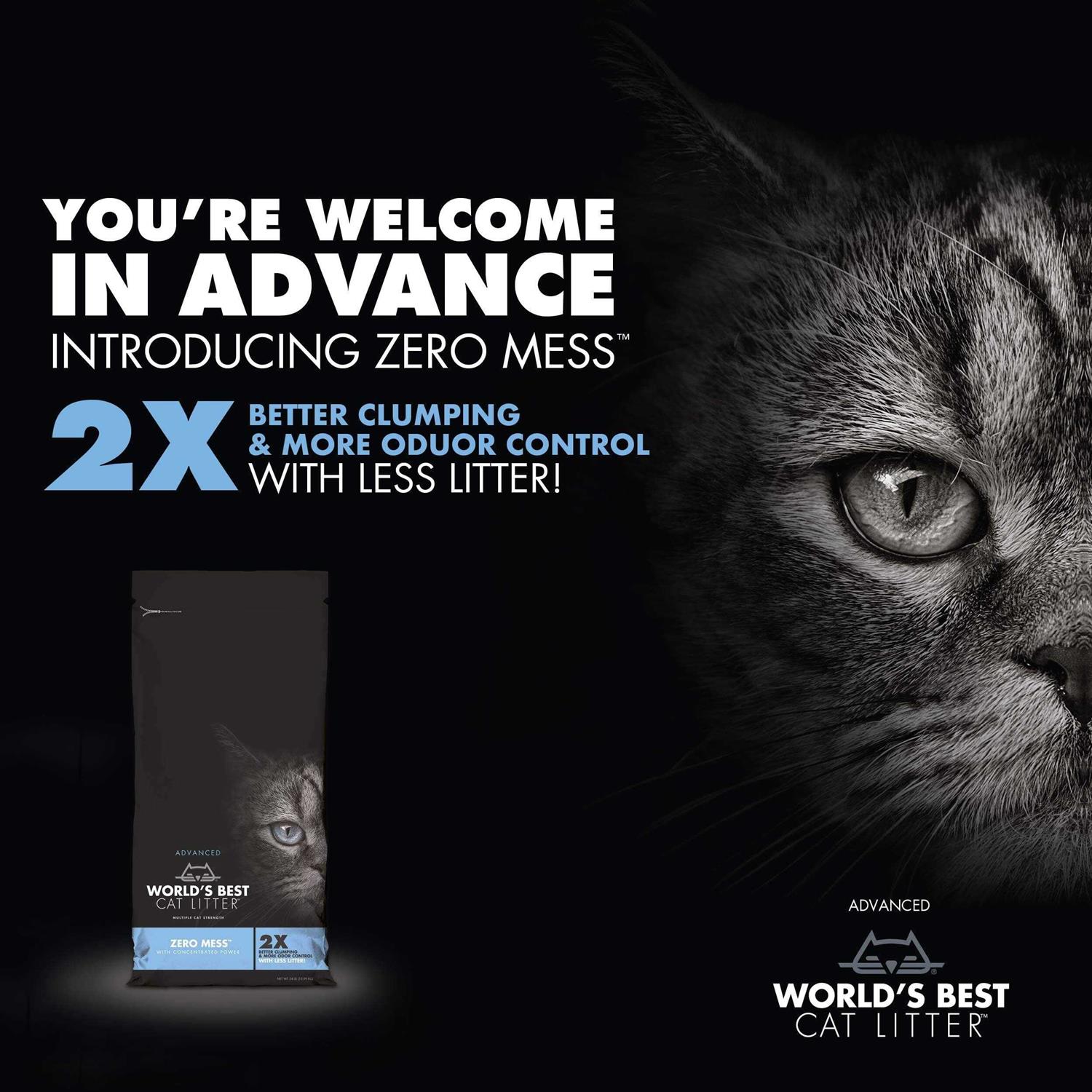World’s Best Advanced Zero Mess Cat Litter - Healthber