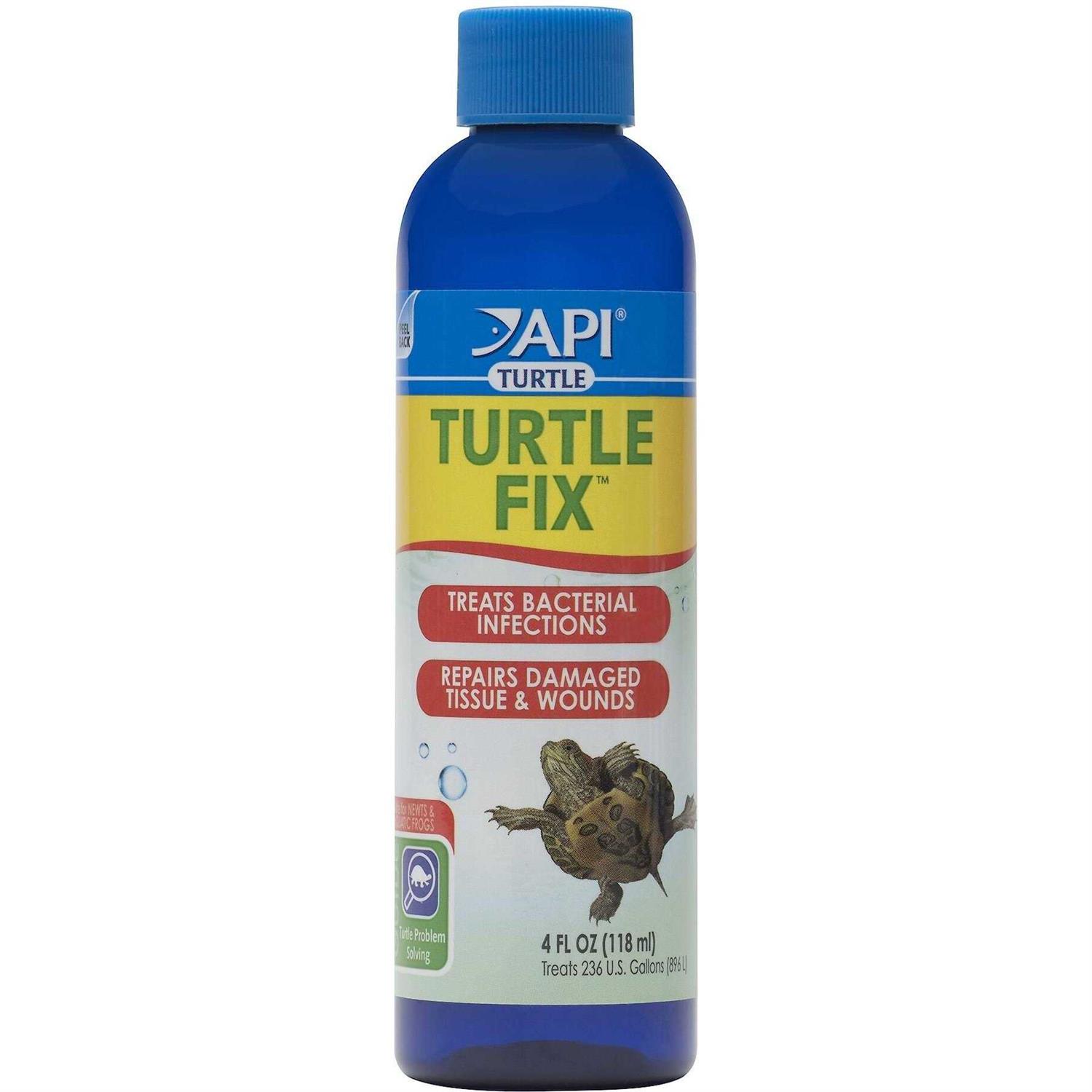 API Turtle Fix - Healthber