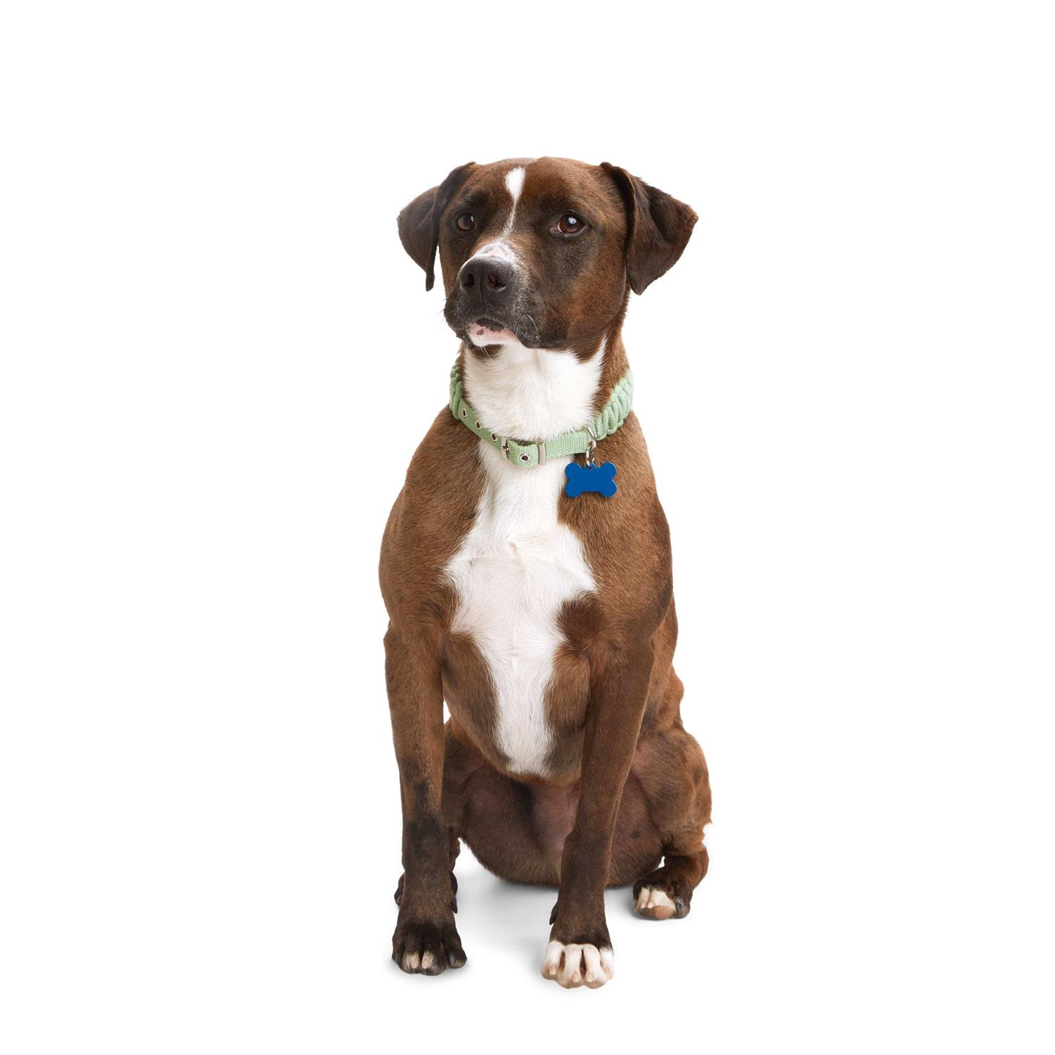 Youly Macrame Dog Collar - Healthber