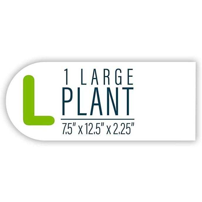 GloFish Aquarium Plant Mangrove - Healthber