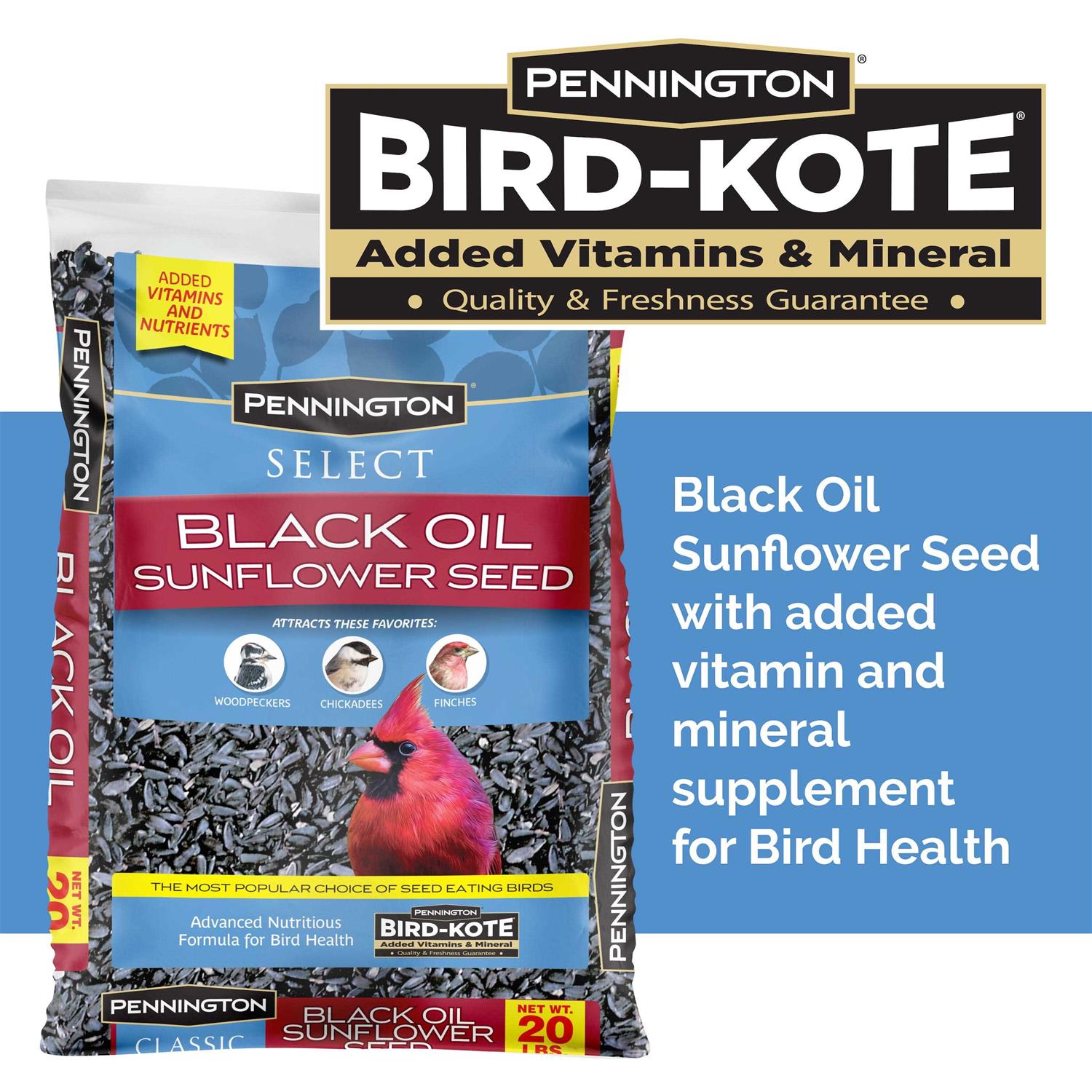 Pennington Select Black Oil Sunflower Seed Wild Bird Feed - Healthber