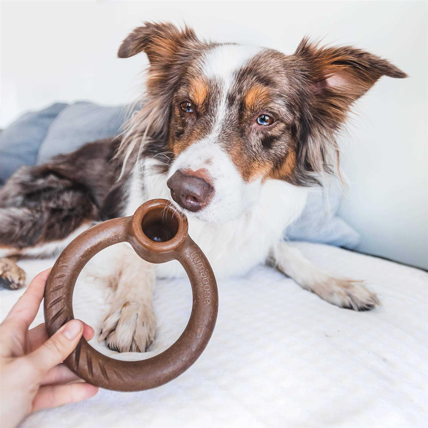 Lumabone Ring Stuffer Durable Chew Toy for Aggressive Chewers - Healthber