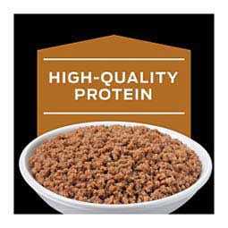 Purina Veterinary Diets NF Kidney Function Feline Canned Food - Healthber