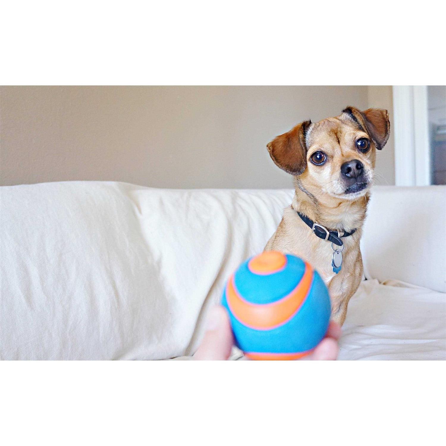 CHUCKIT! ULTRA BALL - Healthber