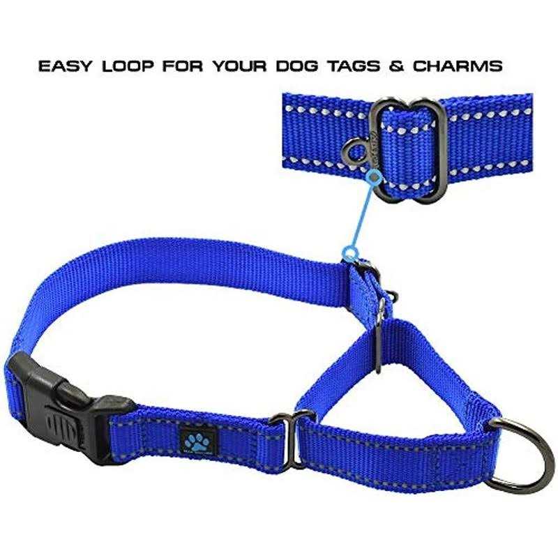 Max and Neo Nylon Martingale Collar We Donate a Collar to a Dog Rescue for Every Collar Sold - Healthber