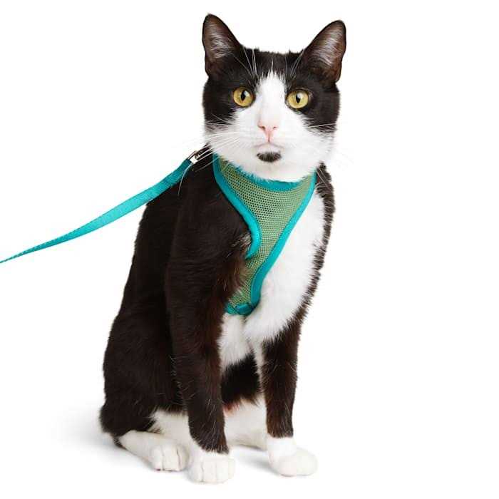 YOULY Basic Green Cat Harness - Healthber