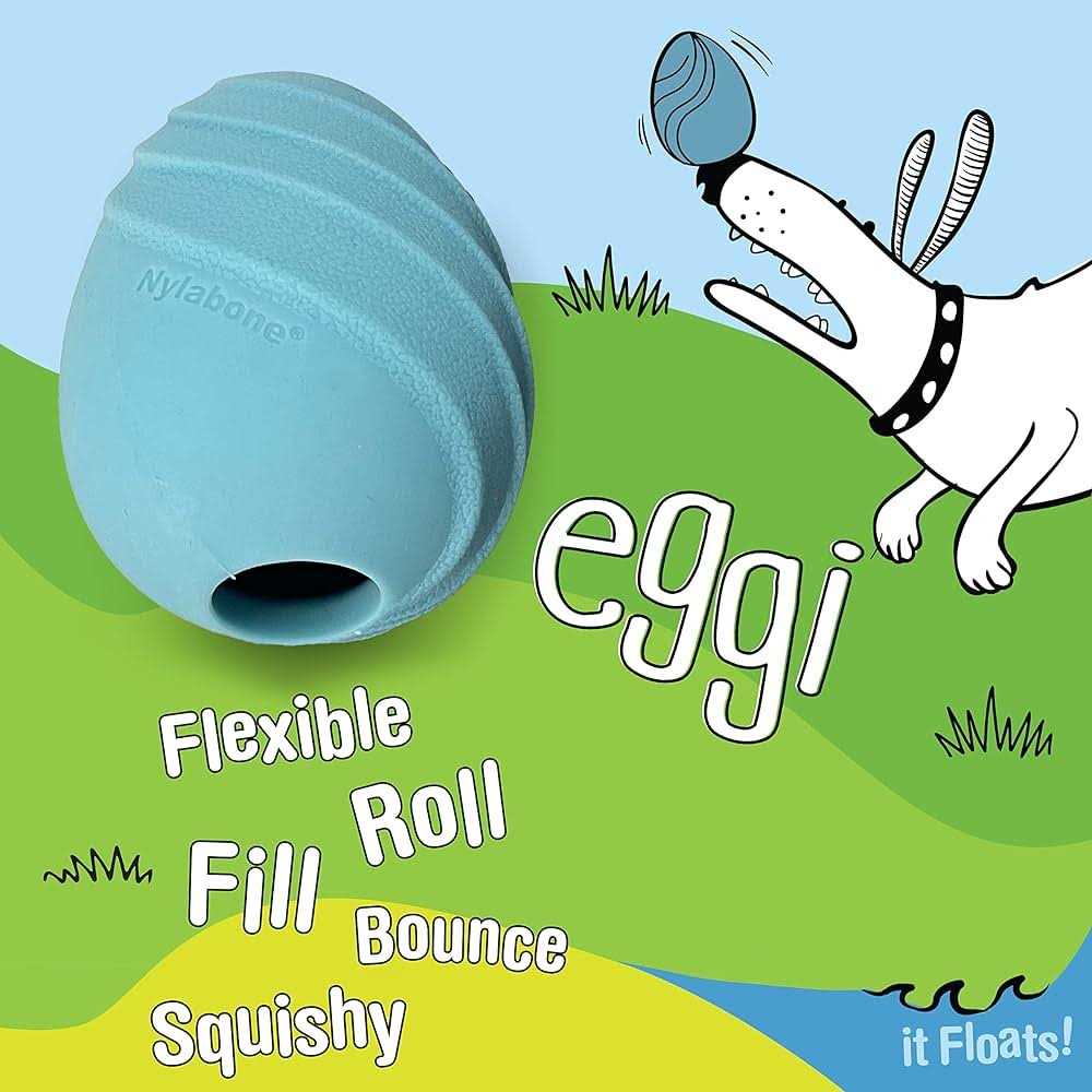 Nylabone Creative Play Eggi Dog Toy - Healthber