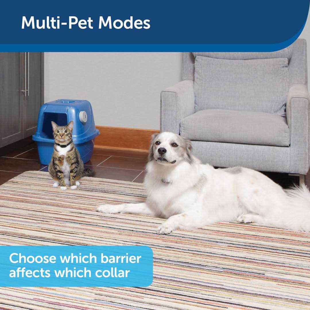 PetSafe Pawz Away Mini Pet Barrier - Healthber