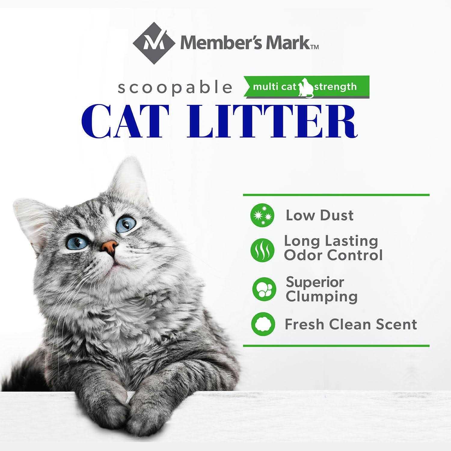 Members Mark Scented Scoopable Cat Litter - Healthber