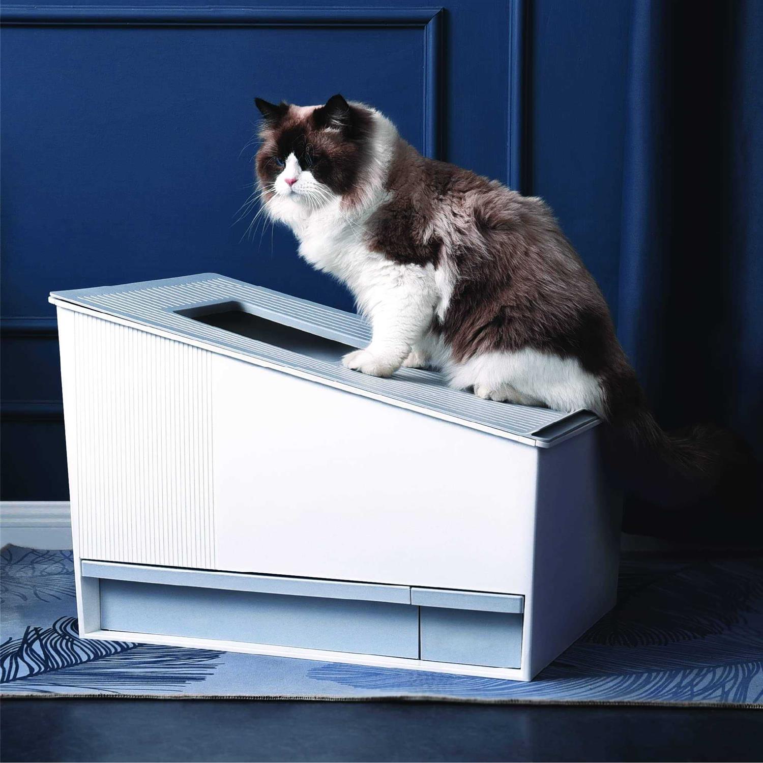HONEY cARE Self-cleaning cat Litter Boxes Automatic cat Litter Box for Multiple cats - Healthber