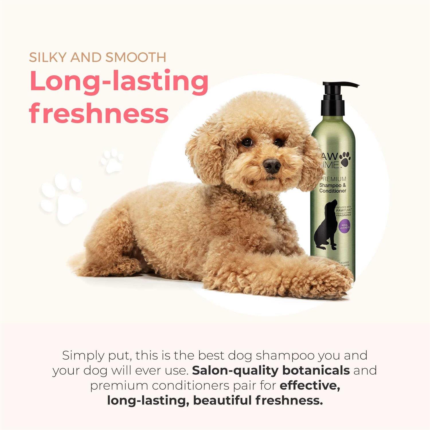 Pawfume Dog Shampoo and Conditioner Hypoallergenic Dog Shampoo for Smelly Dogs - Healthber