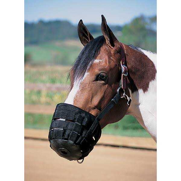 Weaver Leather Grazing Muzzle - Healthber