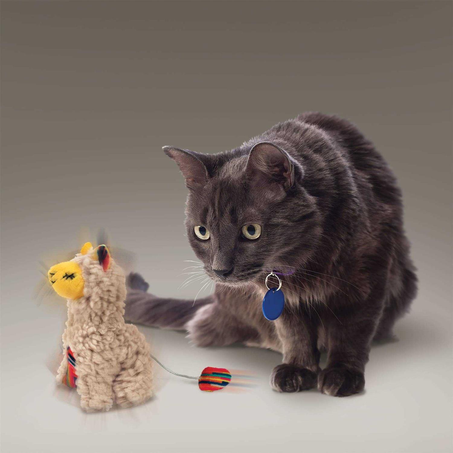 Kong Softies Buzzy Llama Cat Toy - Healthber