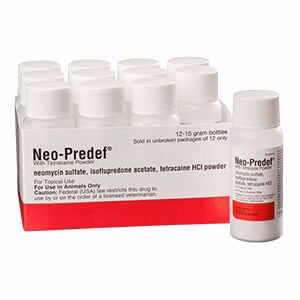 Rx Neo-Predef w/ Tetracaine Topical Powder for Horses, Dogs, & Cats, 15 gram - Healthber