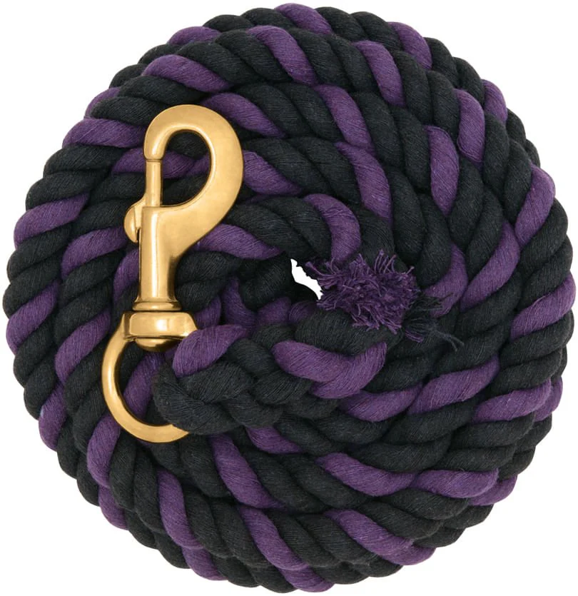 Weaver Colored Cotton Lead Ropes with Solid Brass Snap, 10' L - Healthber