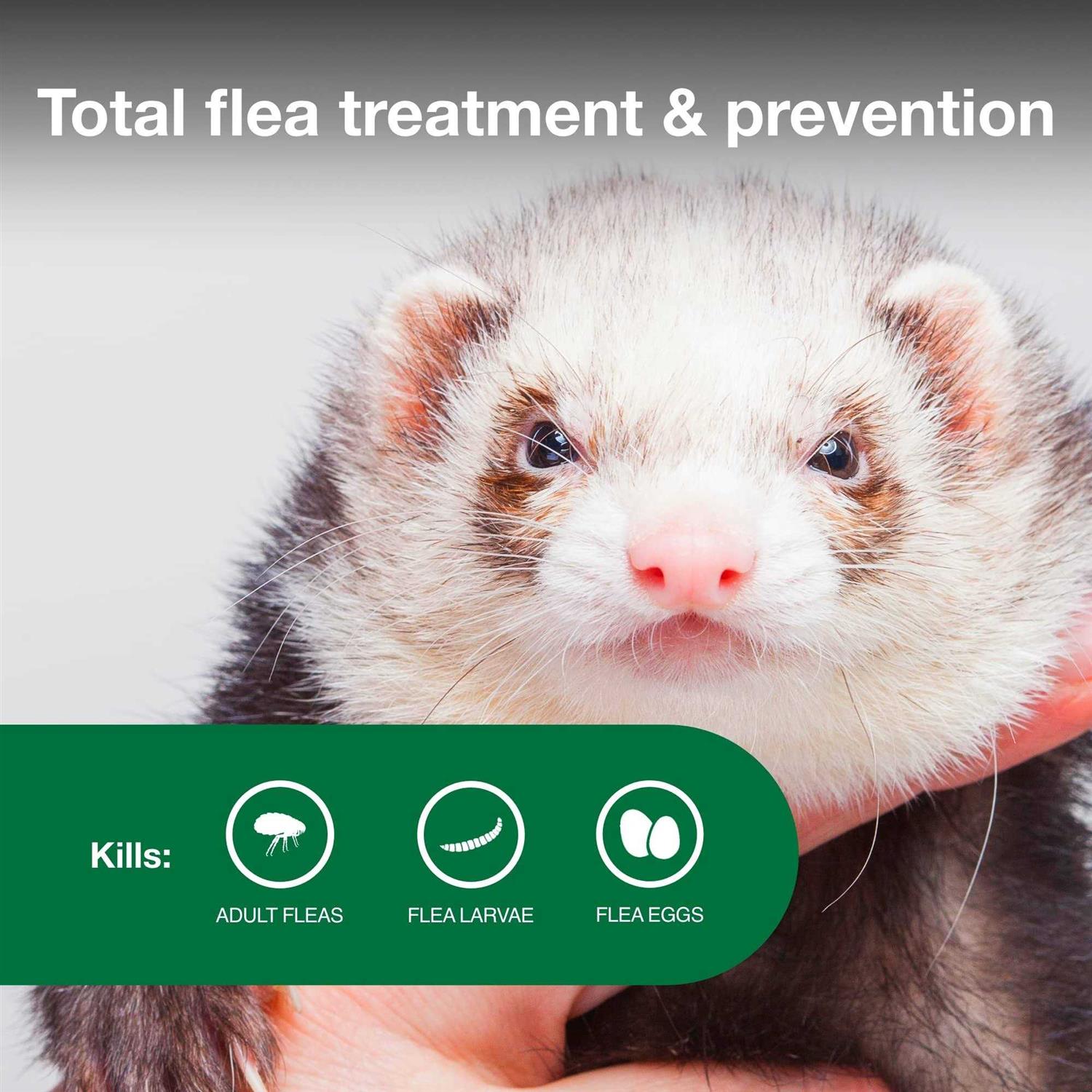 Advantage II Flea Treatment for Ferrets - Healthber
