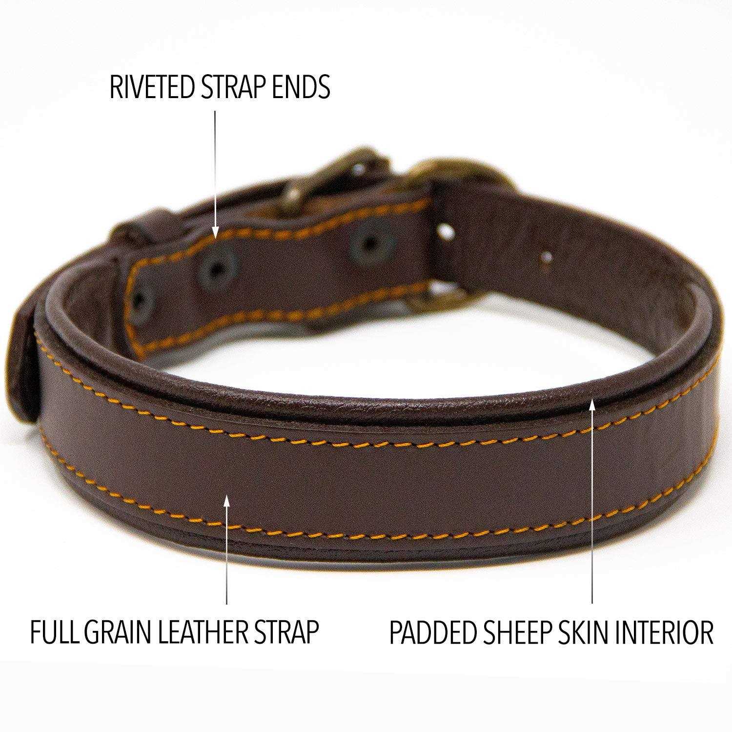 Logical Leather Padded Dog Collar Best Full Grain Genuine Leather Collar - Healthber