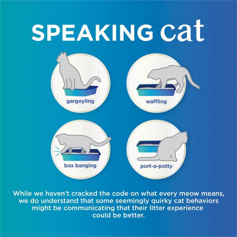 Purina Tidy Cats Tidy Care Comfort Scented Clumping Cat Litter Odor Control Low Dust Formula - Healthber
