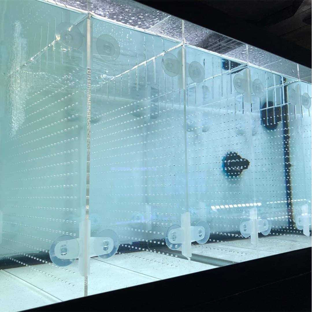 RA AquaTech Acrylic Aquarium Divider Kit 20L 20H 29 40B 125gal Fish Tank with Suction Cups - Healthber
