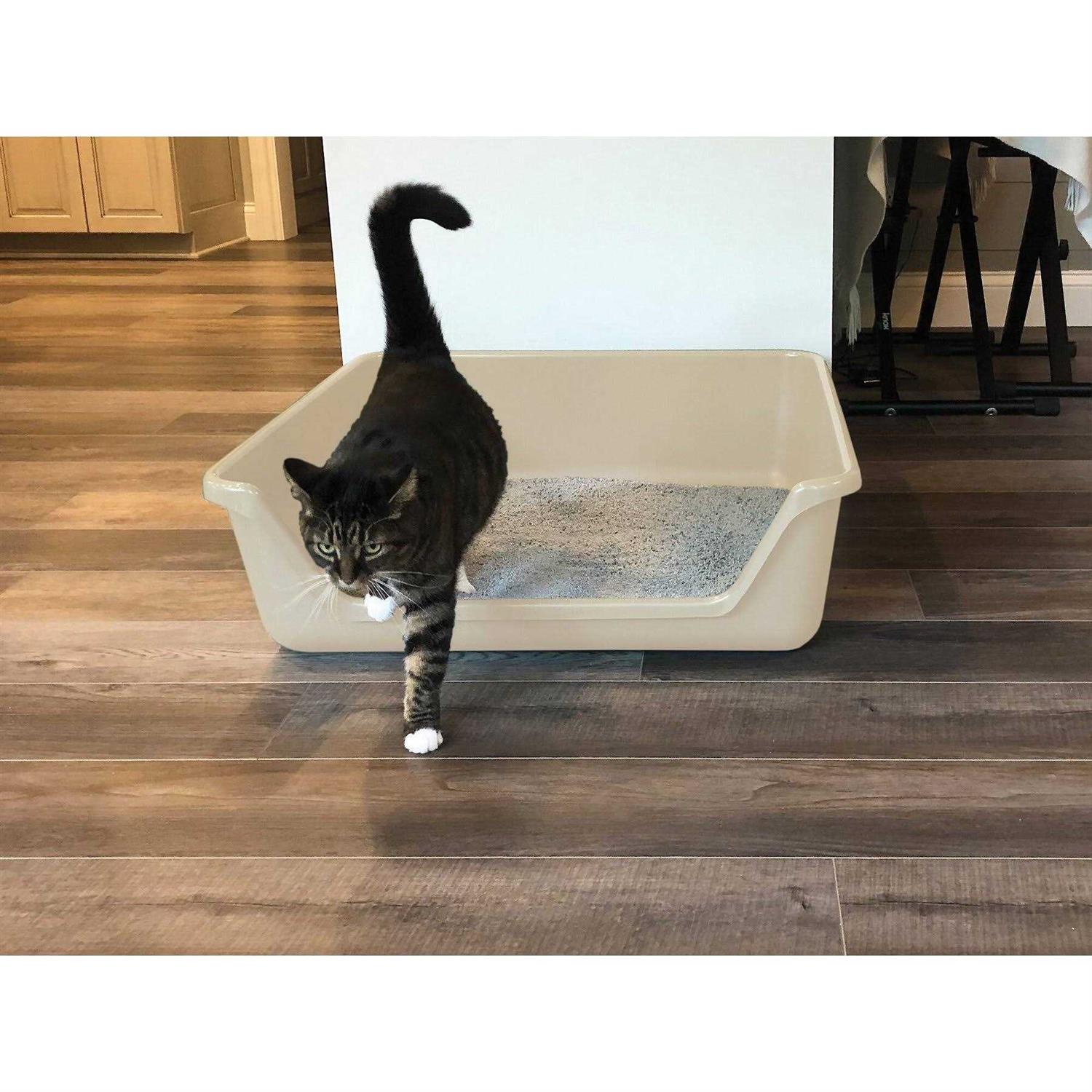 Shirley K’s Senior Cat Litter Box - Healthber