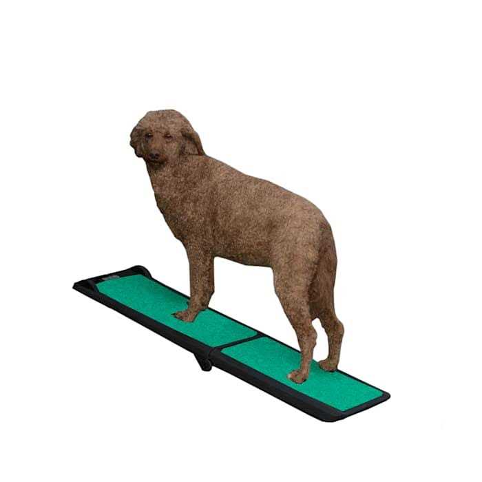 Pet Gear Bi-Fold Travel Lite Pet Ramp with supertraX - Healthber