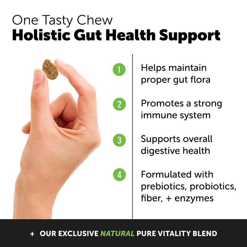 Pet Honesty Probiotics for Dogs Digestive Enzymes Promotes Gut Health - Healthber