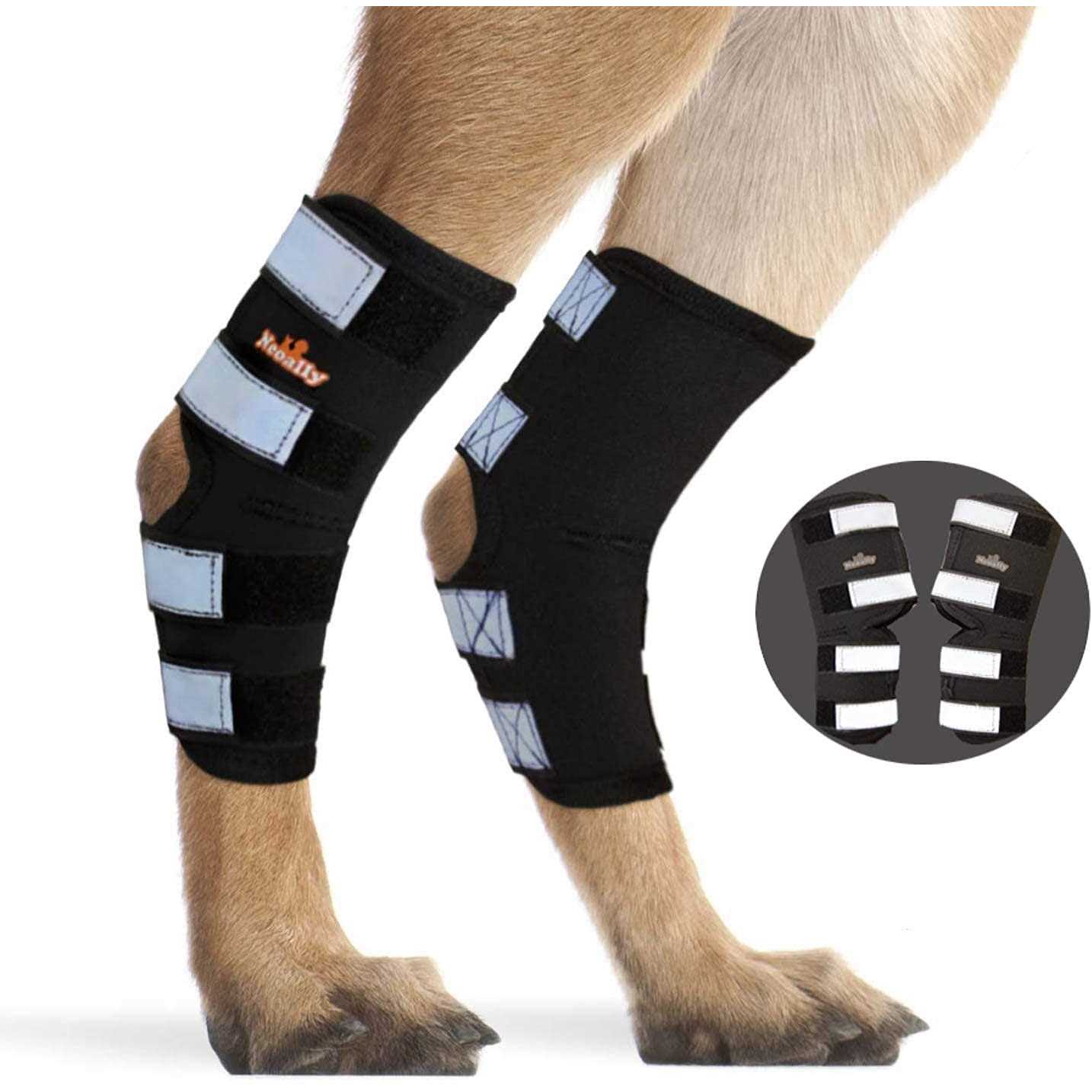 Neoally Dog Hind Leg Brace Canine Rear Leg Support with Safety Reflective Straps for Joint Injury - Healthber