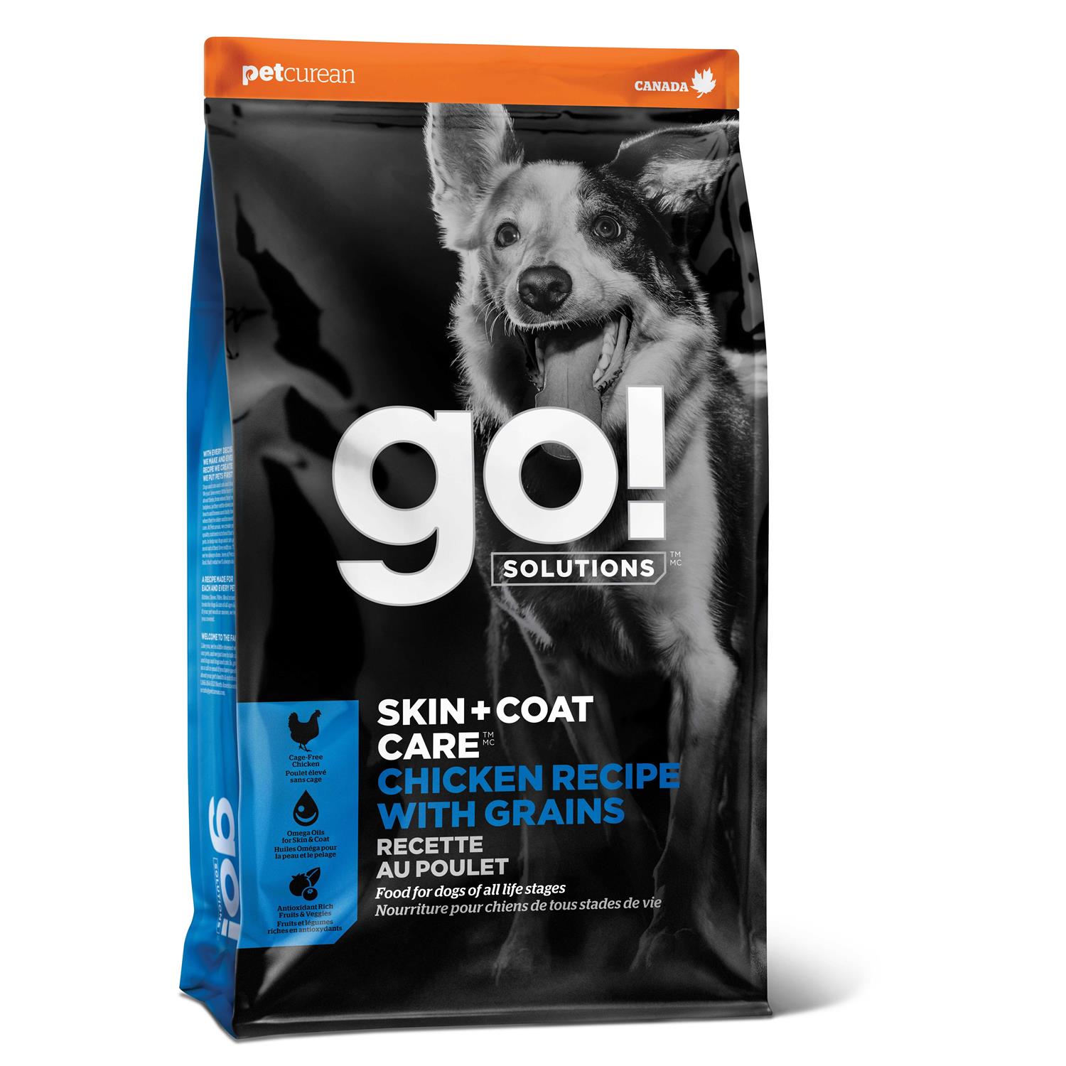 Go! Solutions Skin + Coat Care Chicken Recipe Dry Dog Food - Healthber