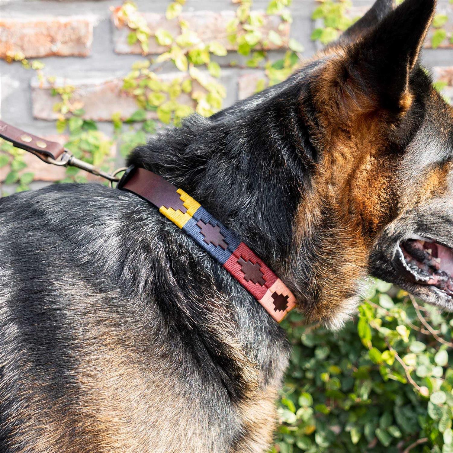 GauchoLife Polo Dog Collar Leather Hand-Stitched - Healthber