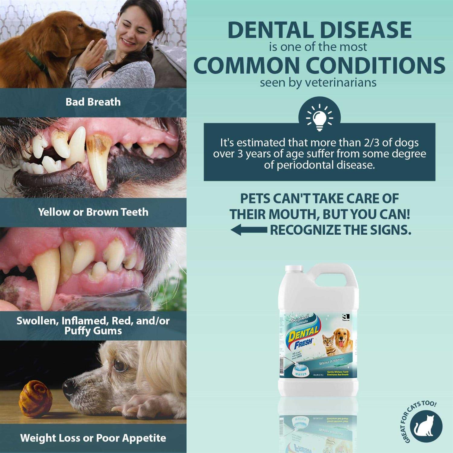 Dental Fresh Original Formula 1 Gallon - Healthber
