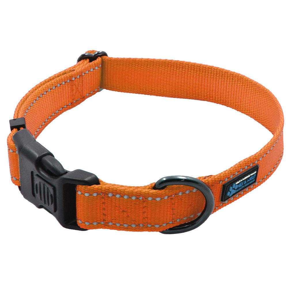 Max and Neo Neo Nylon Buckle Reflective Dog Collar We Donate a Collar to a Dog Rescue for Every Collar Sold - Healthber