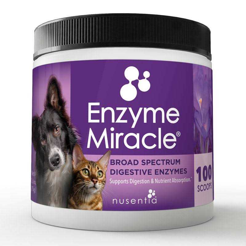 Enzyme Miracle Digestive - Healthber