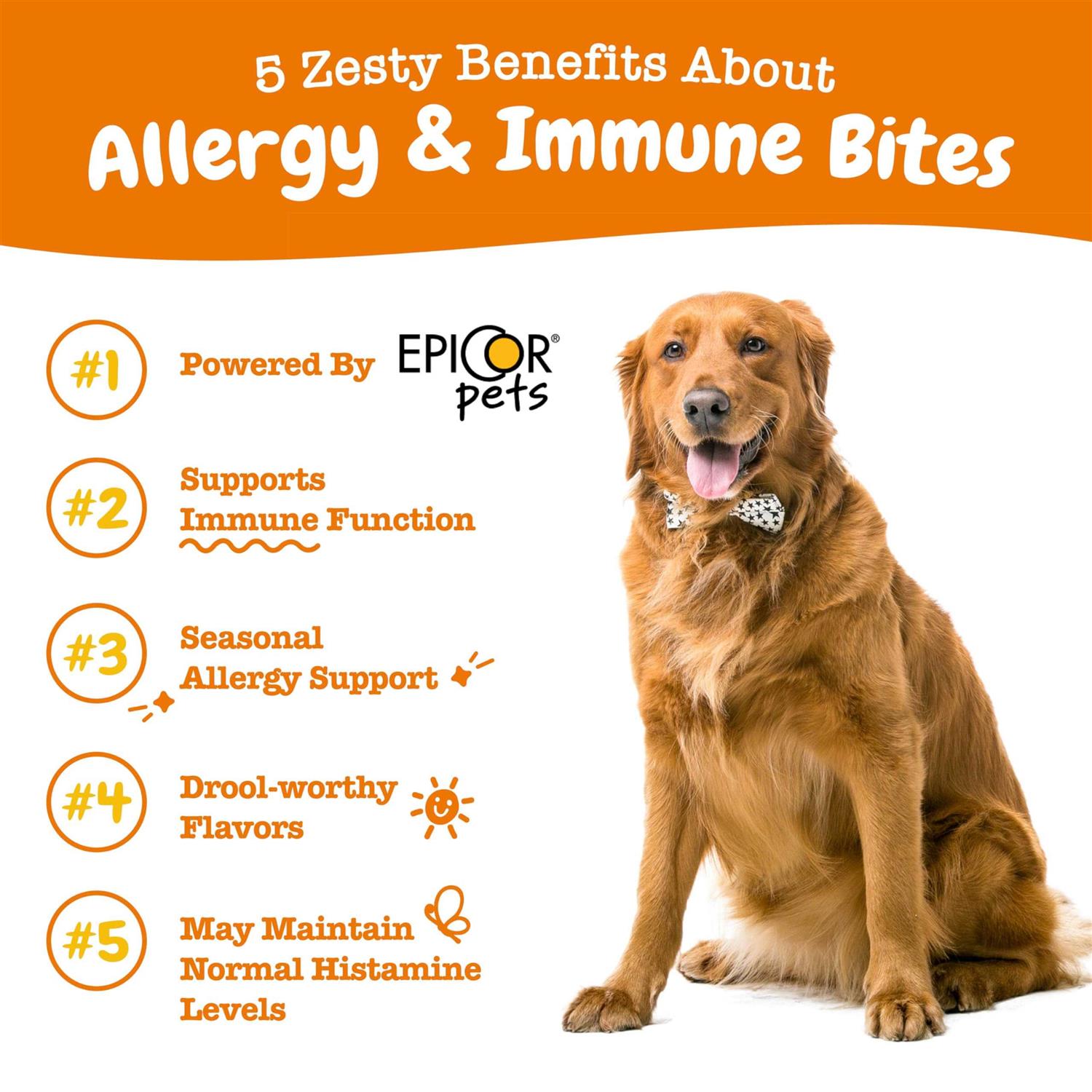 Zesty Paws Aller-Immune Bites for Dogs - Healthber