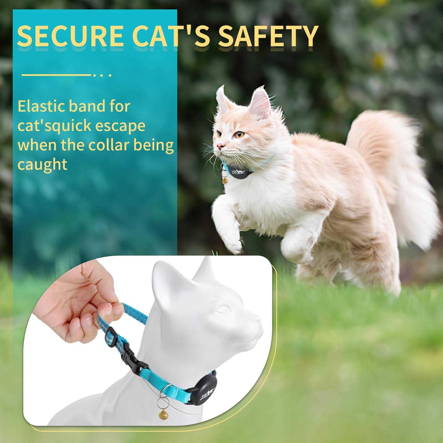 Luminous Airtag Cat Collar,PROFAVO Apple Air Tag Cat Collar with Airtag Holder,Reflective Cat GPS Tracker Collar for Girl Boy Small Cats,Kittens,and - Healthber