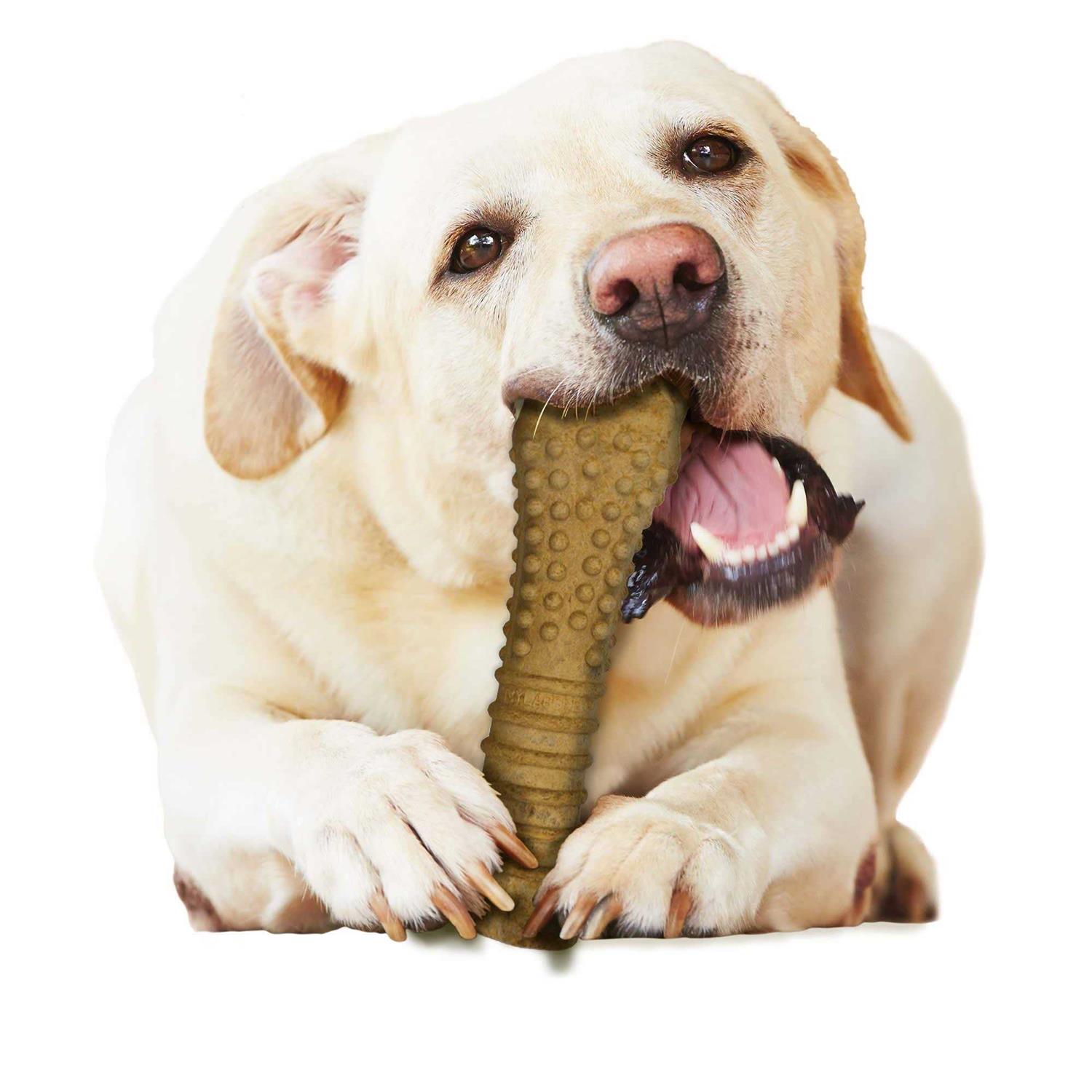 Nylabone Natural Healthy Edibles Peanut Butter Flavor Chew Treats - Healthber