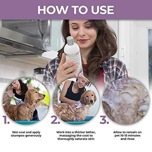 Veterinary Formula Clinical Care Antiparasitic & Antiseborrheic Medicated Shampoo - Healthber