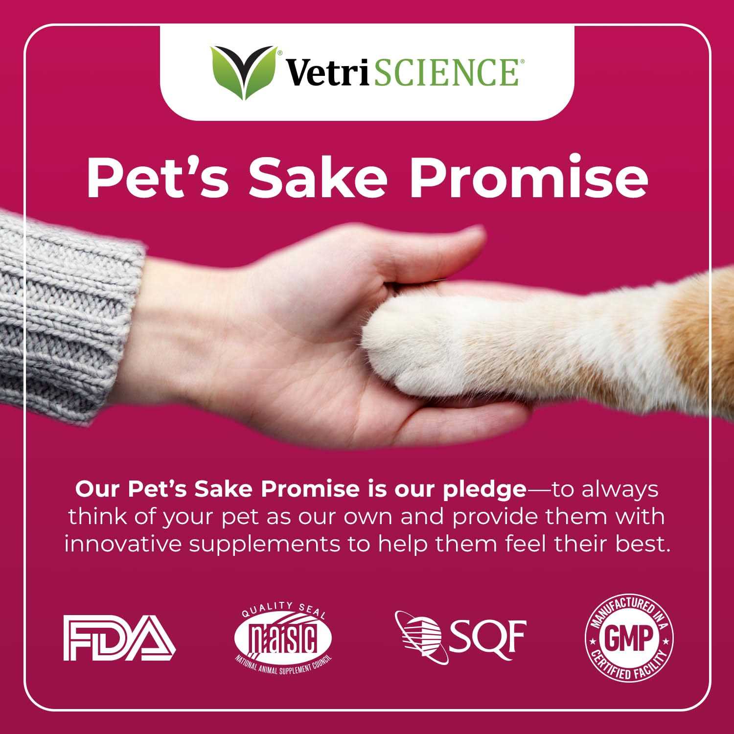 VetriScience Hairball Chews - Healthber