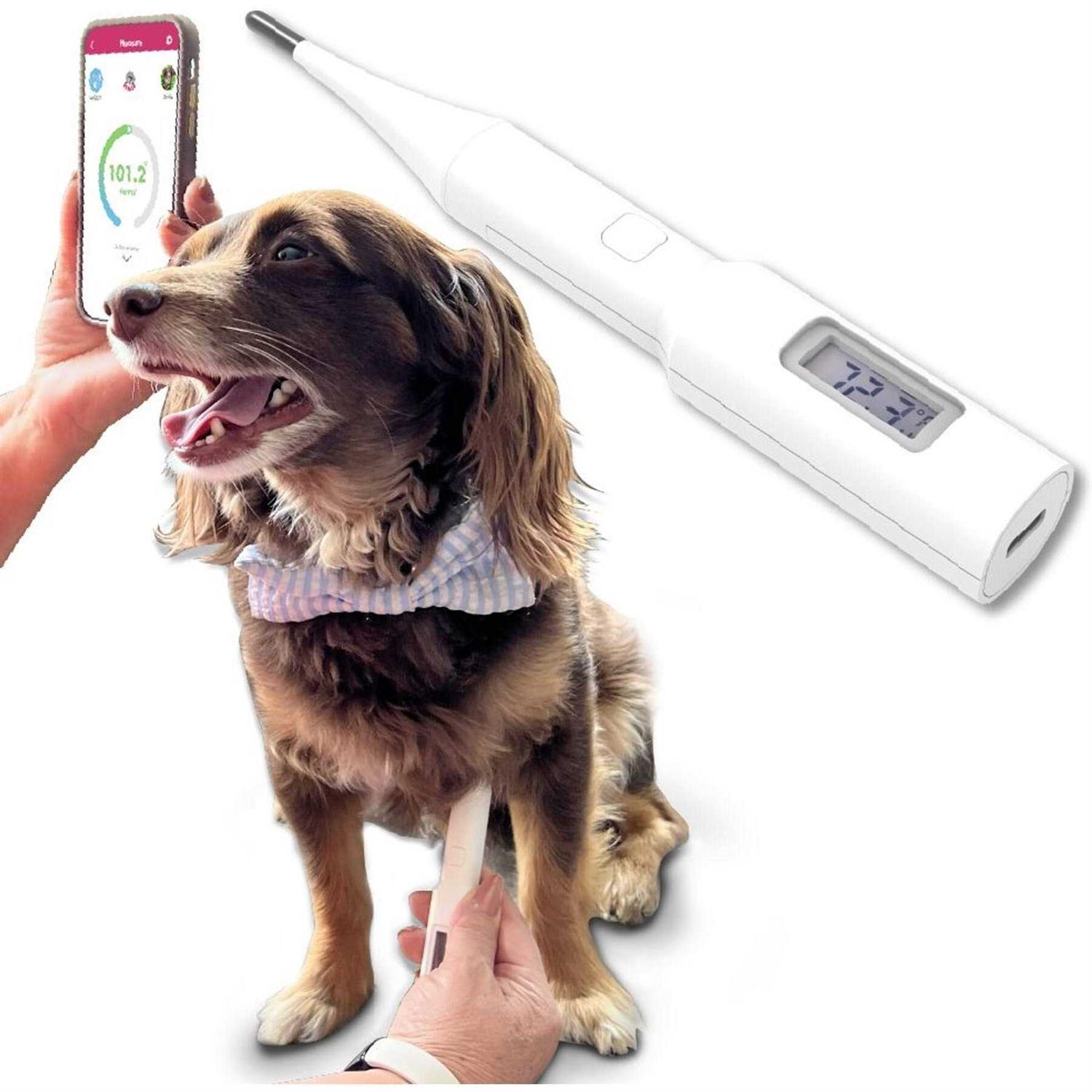 Non-invasive Underarm Pet Thermometer by Mella Pet Care - Healthber