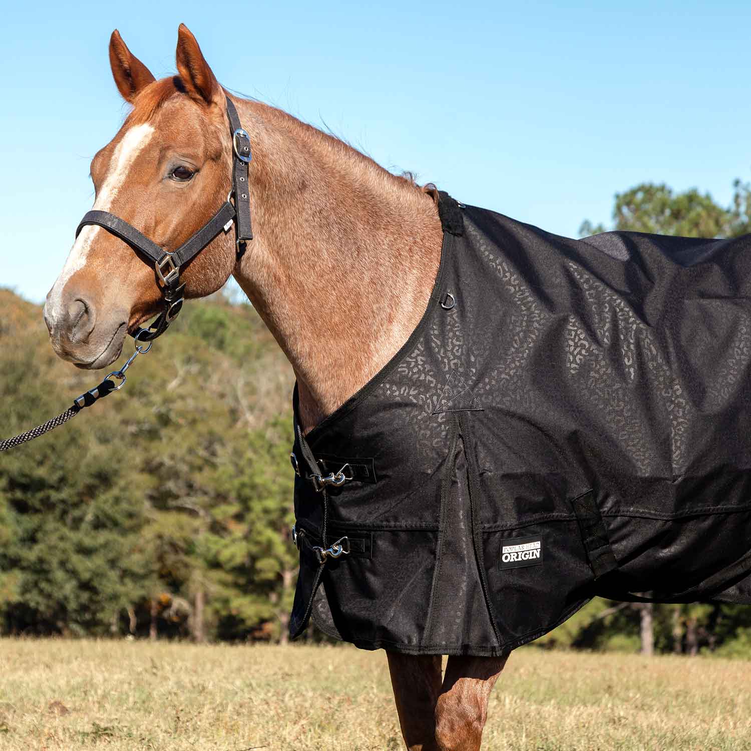 Poplar Head Origin 600 Denier Turnout Blanket, 240 Gram, Covert Cheetah - Healthber