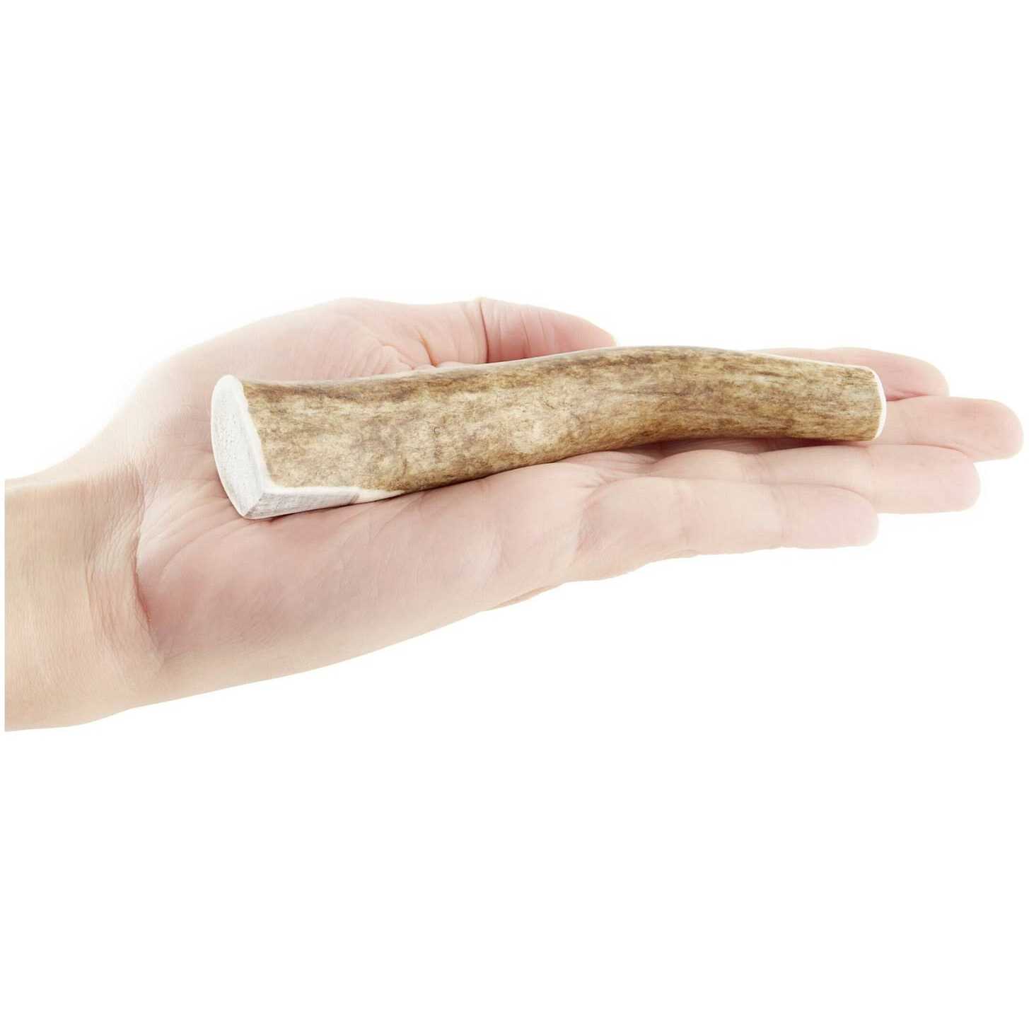 Kong Whole Wild Elk Antler - Healthber