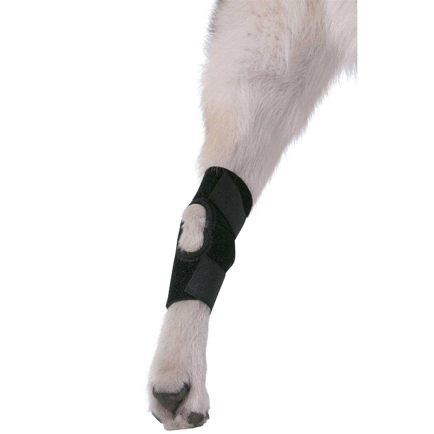 Agon Dog Canine Rear Hock Joint Brace Compression Wrap With Straps Dog For Back Leg Protects Wounds. Heals Prevents Injuries and Sprains Helps - Healthber