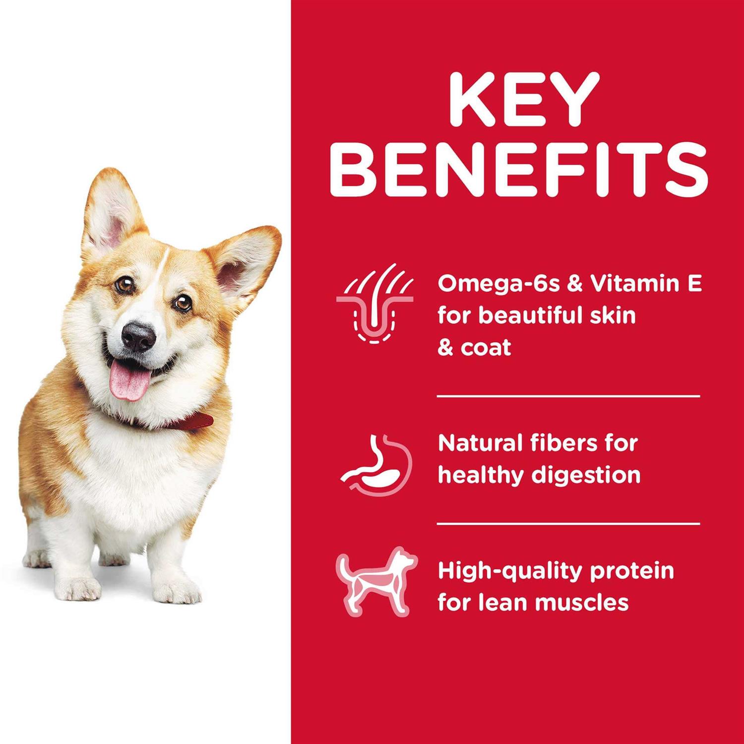 Science Diet Dog Food Recipe - Healthber
