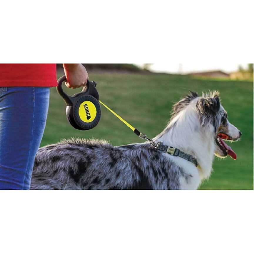 Kong Reflect Retractable Leash - Healthber