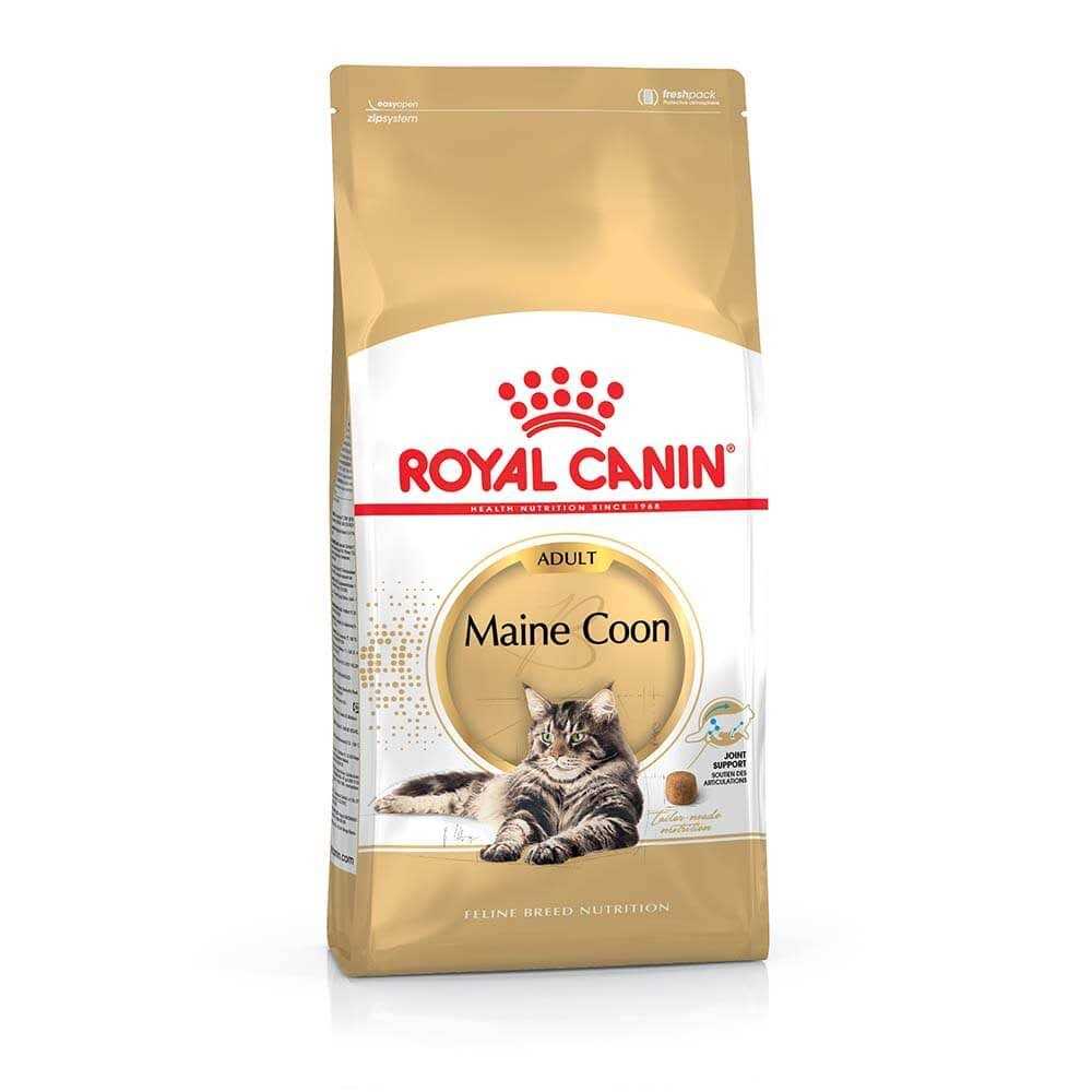 Royal Canin Feline Breed Nutrition Maine Coon Dry Cat Food - Healthber
